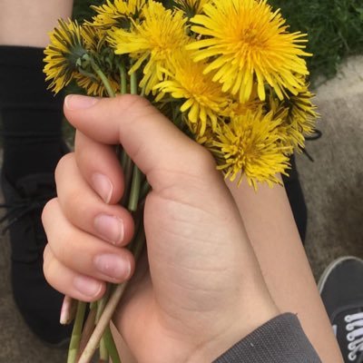 Profile Picture of Alex Cundiff (@alxcndff) on Twitter