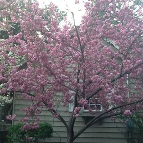 Profile Picture of Maureen Hildreth (@rogerhildreth) on Pinterest