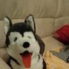 Profile Picture of neuwirth.adam (@neuwirth.adam) on Tiktok