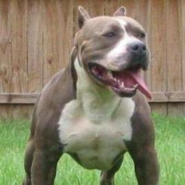 Profile Picture of Ollie Manley (@profit740) on Myspace