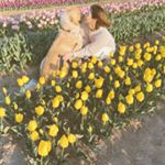 Profile Picture of 今田美奈 (@_minaimd.j_) on Instagram