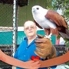 Profile Picture of Wayne Richter (@@waynejudge3) on Tiktok
