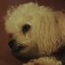 Profile Picture of Sheryl D. Franko (@sheryl.franko) on Facebook
