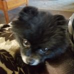 Profile Picture of Mike Grizzle (@mike.grizzle.73) on Facebook