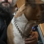 Profile Picture of Patrick Deyer (@Patrick-Deyer) on Facebook