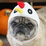 Profile Picture of 麥克華斯雞哈巴狗堡 (@mikewaschicken) on Instagram