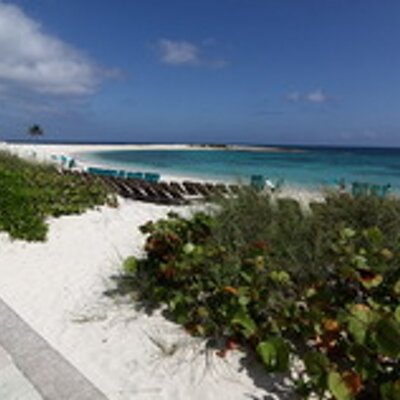 Profile Picture of Chris De Gier (@Elgieros) on Twitter