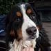 Profile Picture of Wayne Benson (@wayne.benson.127) on Facebook