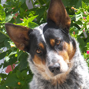 Profile Picture of Debra Long (@dlmccraw1) on Youtube