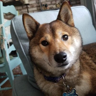 Profile Picture of JR (@JoeRiccardi2) on Twitter