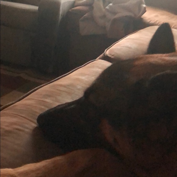 Profile Picture of Jayme Brunkhorst (@jayme5576) on Poshmark