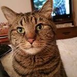 Profile Picture of Robin Conaway (@robinconaway) on Instagram