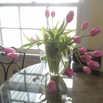 Profile Picture of Susan Borglum (@SJB_GoodGrace) on Twitter