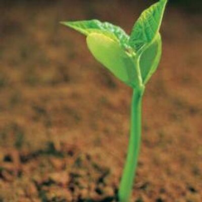 Profile Picture of Richard Gifford (@RichardGifford) on Twitter