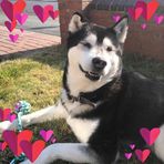 Profile Picture of Stephen Britten (@stephen.britten) on Facebook