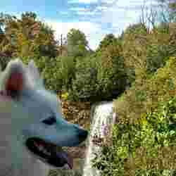 Profile Picture of Joe McPhail (@McphailJoe) on Twitter