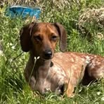 Brandy Kellogg - Facebook Profile Picture of Brandy Kellogg (@brkellogg75) on Facebook