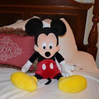 Stacy Rawson Sheldon - Twitter Profile Picture of Stacy Rawson Sheldon (@StacyMickeysMVP) on Twitter