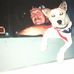 Profile Picture of David Brucker (@david.brucker.35) on Facebook