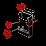 Profile Picture of @payam.shahi (@payam.shahi_se) on Instagram