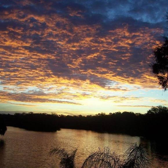 Profile Picture of Sandy Swanson (@sswan68647) on Poshmark