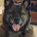 Profile Picture of Keith Hooper (@keith.hooper.58555) on Facebook