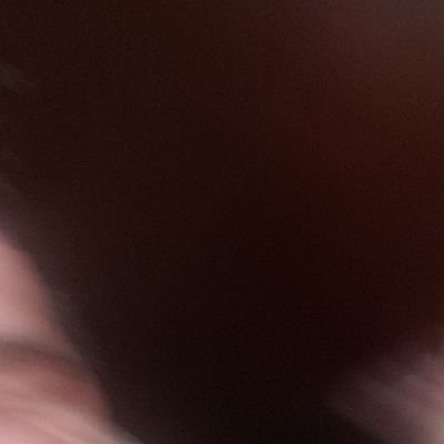 Profile Picture of andrew lettieri (@andrewlettieri1) on Twitter