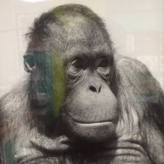 Profile Picture of Lance Lloyd (@lancelloydtattoo) on Instagram