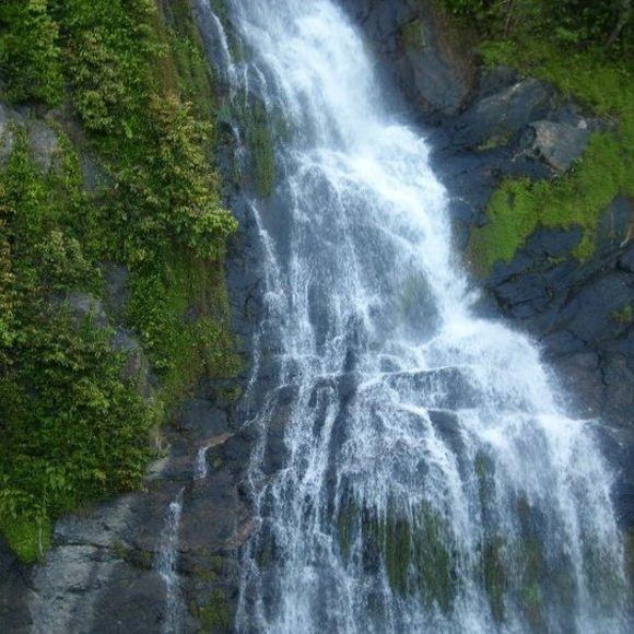 Profile Picture of Samia Sadique (@samia_sadique) on Poshmark