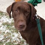 Profile Picture of Ryan Webb (@ryan.webb.33886) on Instagram