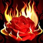 Profile Picture of Dost Adam (@dost.adam.2025) on Facebook