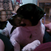 Profile Picture of Adam Griggs (@adamgriggs9787) on Youtube