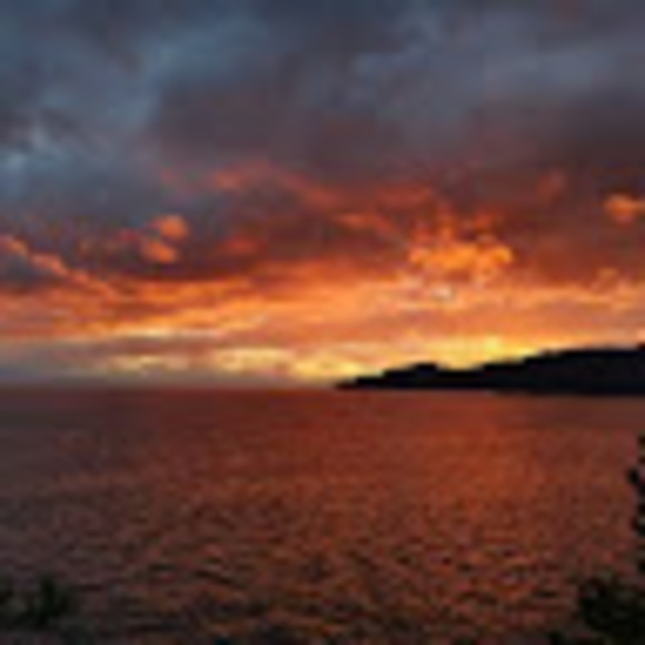 Profile Picture of Stan Liu (@stanliu1114) on Poshmark