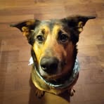 Profile Picture of Justin LaFave (@justin.lafave.2025) on Facebook