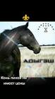 Profile Picture of   Angela Loo... (@circassia_01.07.09) on Tiktok