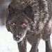 Profile Picture of James Neilson (@jamesneilson623) on Pinterest