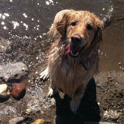 Profile Picture of Gerald Arsenault (@worldunite) on Twitter