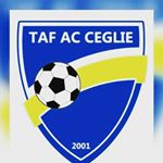 Profile Picture of Alex_Vitale (@alexvitale012) on Instagram