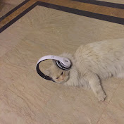 Profile Picture of Mehreen Malik (@mehreenmalik1461) on Youtube