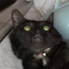 Profile Picture of williamsarcher (@williamsarcher) on Tiktok