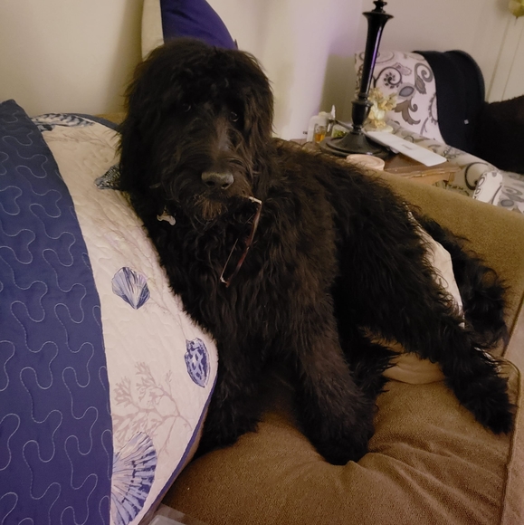 Profile Picture of Nancy Varnum casselman (@nlcasselman) on Poshmark