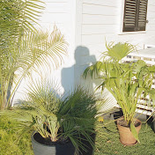 Profile Picture of Christopher Vigue (@christophervigue7576) on Youtube