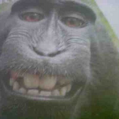Profile Picture of Derek Coe (@dercoe383) on Twitter