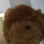 Profile Picture of Pamela Knowlton (@pamela.knowlton) on Instagram