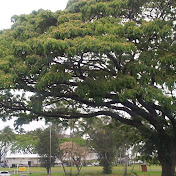 Profile Picture of Michael Kreuzer (@michaelkreuzer8325) on Youtube