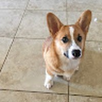 Profile Picture of Brian Way (@brian-way-27) on Quora