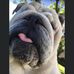 Profile Picture of Steven Andresen (@steven.andresen.1) on Facebook