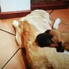 Profile Picture of CassandraEarl (@cassandraearl) on Tiktok