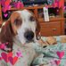 Profile Picture of Nancy Reichenbach (@nancy.reichenbach.71) on Facebook