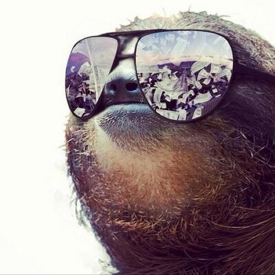 Profile Picture of Jeremy McFadden (@iCeleri) on Twitter
